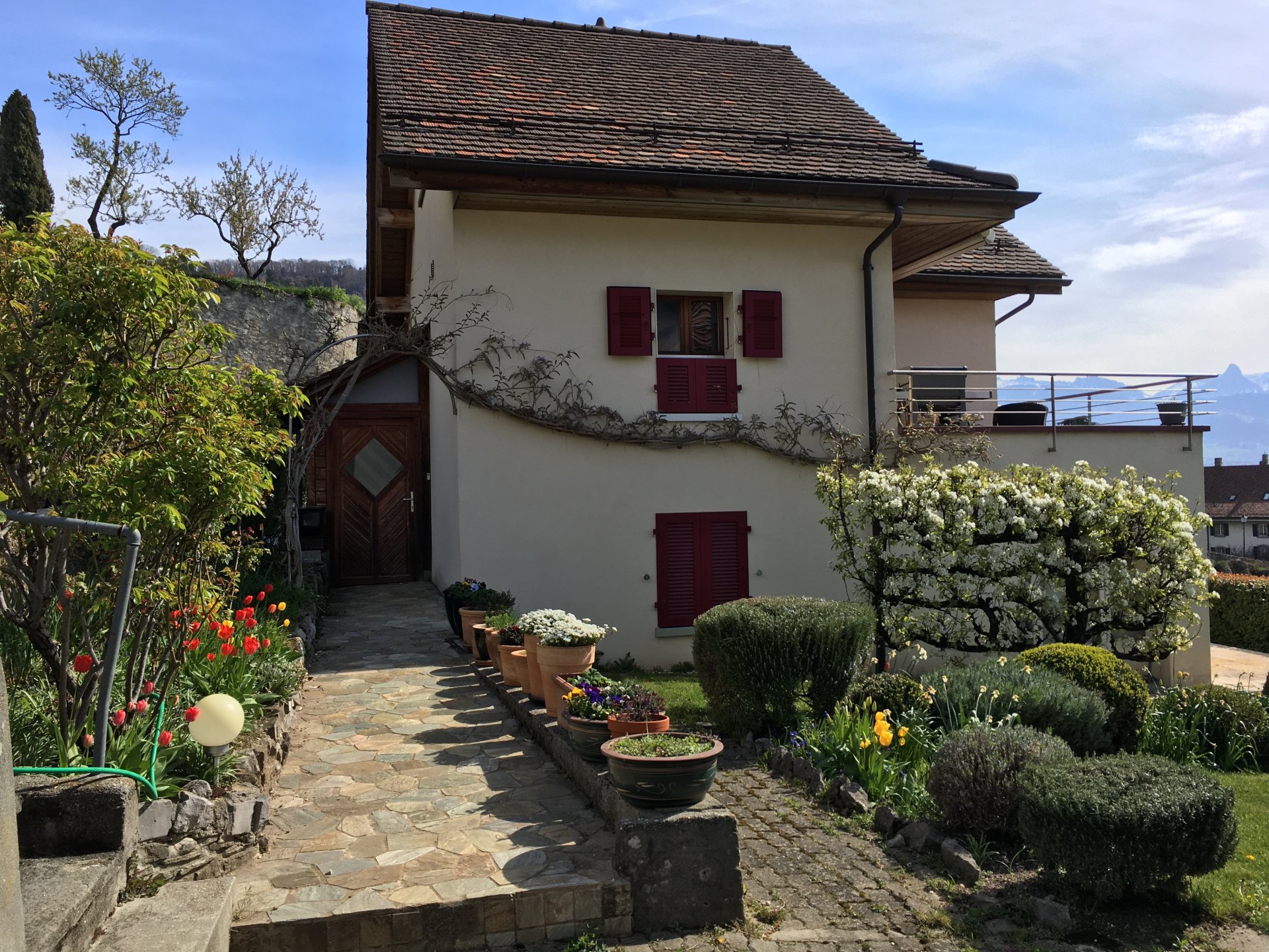 VUE PANORAMIQUE 
