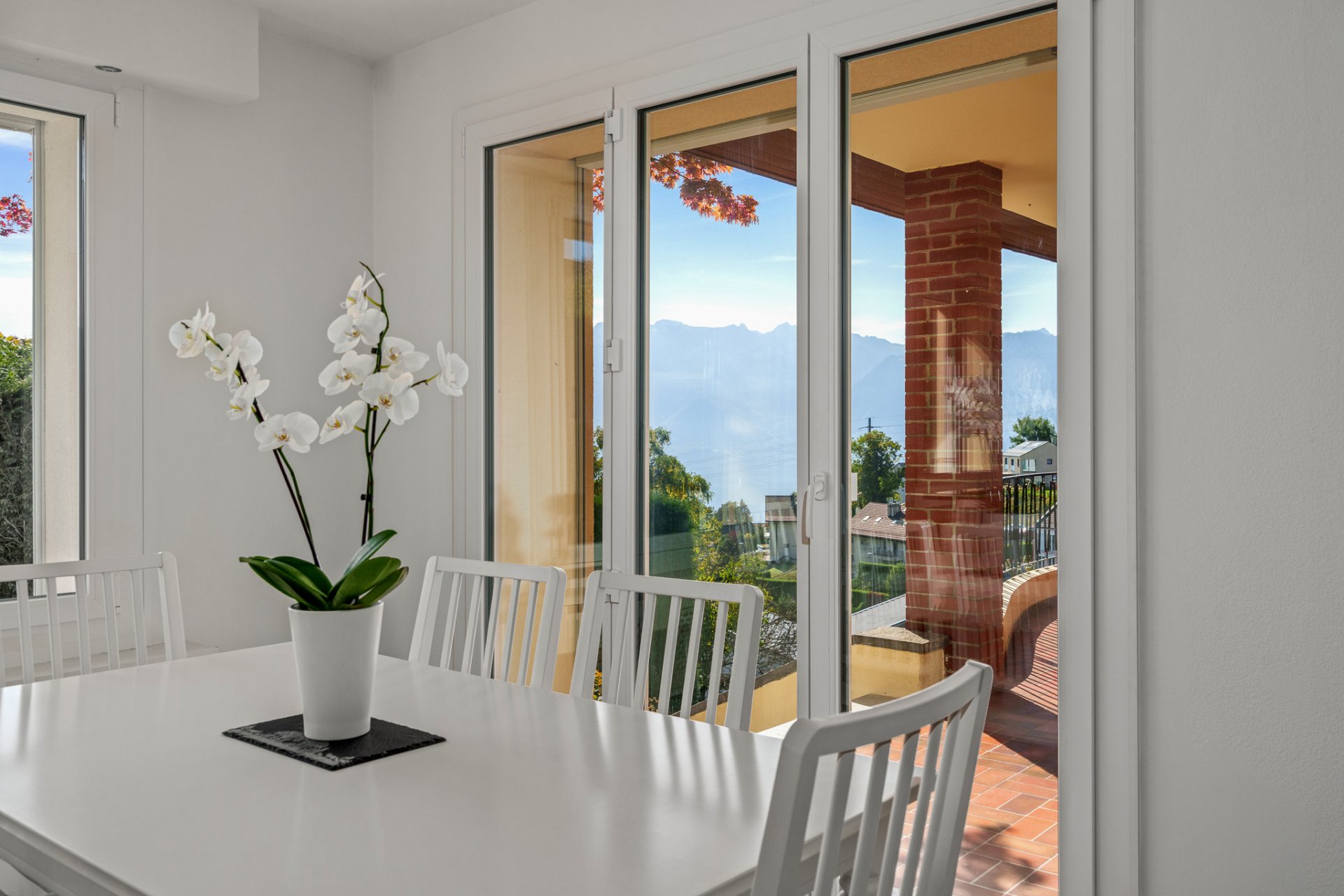 JONGNY - Belle villa familiale rénovée avec vue lac