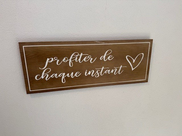 JONGNY - jolie villa jumelle avec magnifique vue