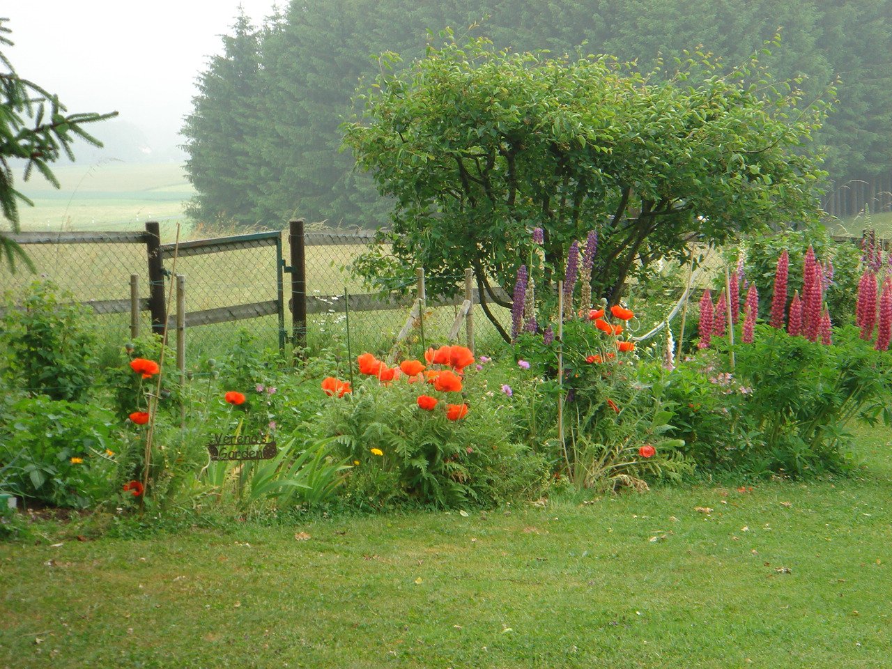 VENDUE .SAVIGNY - Villa familiale de charme 