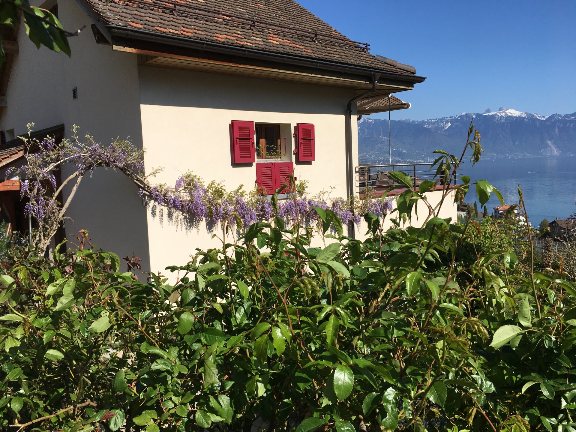 VUE PANORAMIQUE 