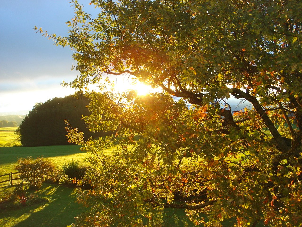VENDUE .SAVIGNY - Villa familiale de charme 
